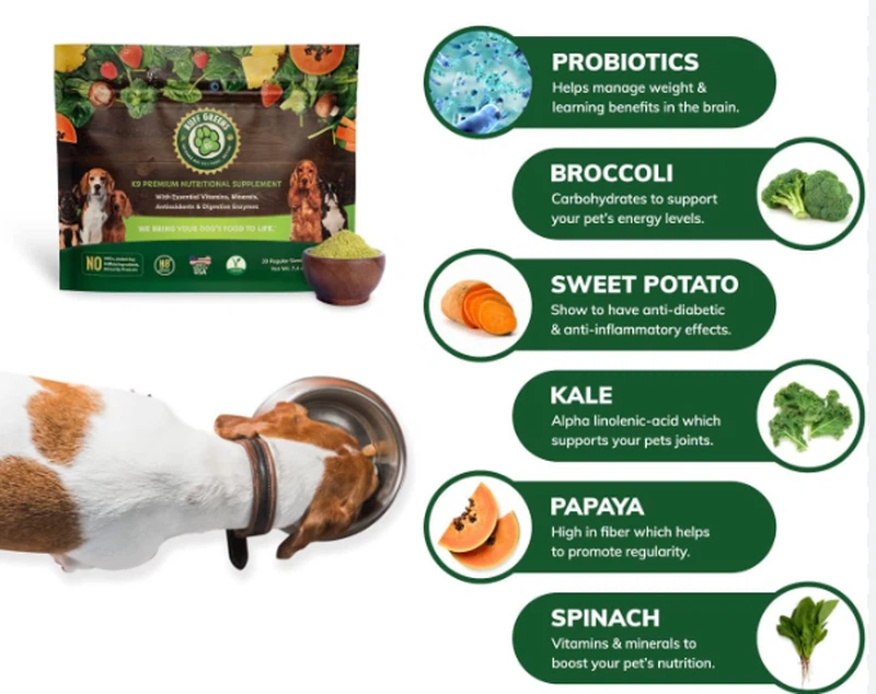 Broccoli Powder Price Broccoli Powder Price