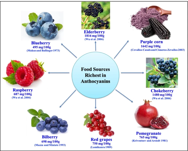 Anthocyanin powder Anthocyanin powder