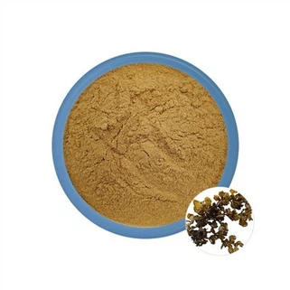 Polysacharid z mořských řas