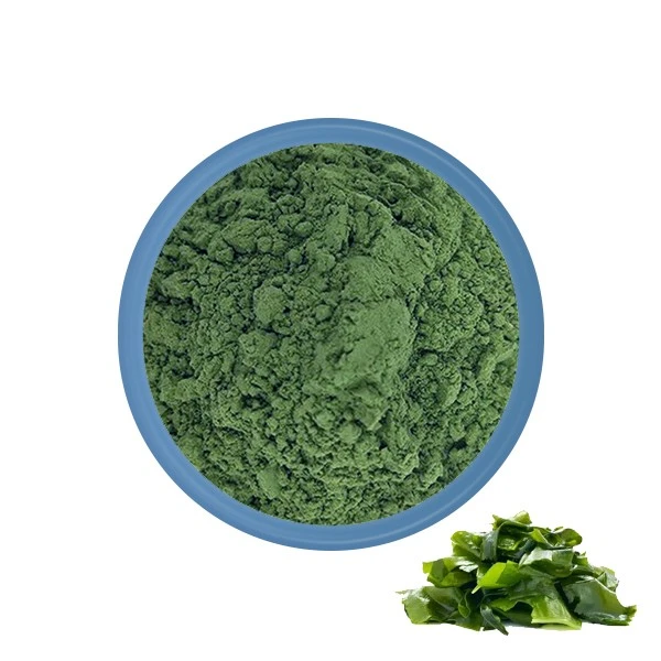 Mořské řasy Kelp prášek